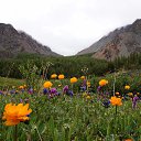  , -, 53  -  25  2016    