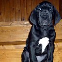 ���������, �� ����� ������, �������) �� ������� ���� ����������