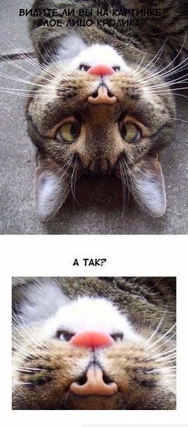 � �� ������ ���� ���� ������� ?!