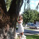 ���� �����, �����������, 61 ��� - ��������� 1 ���� 2016 � ������ ���������� ������