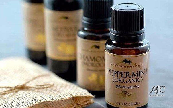 3 ����� ������ �������� ����.��� ����� - ������ �������� � ������ � ��������������� ��������� ����1) ...