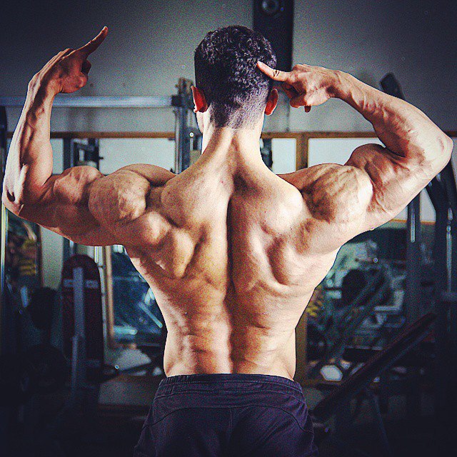 #aesthetics.   #shredded!!! - 3