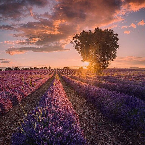 Provence, France - 3