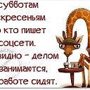  ,  -  5  2016    