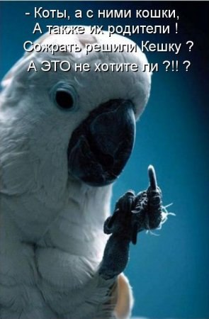   - 8  2016  09:21