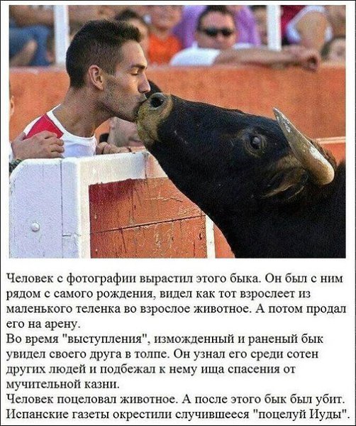 Присоединяйся в наши ряды! fotostrana.ru/public/341843/