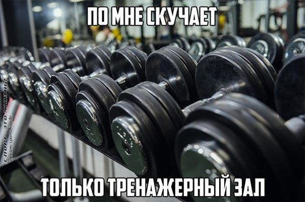  -   - 15  2016  02:58