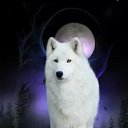 ���� ����, ����������, 48 ��� - ��������� 29 ������� 2016 � ������ ���� ����������