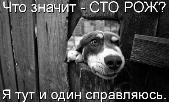 *
