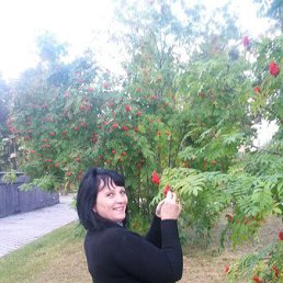 � � �, �������, 57 ���