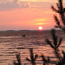  , -, 55  -  27  2016   