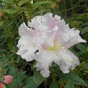 ���� ������, ������ - ��������� 11 ������ 2016 � ������ ������������� ���