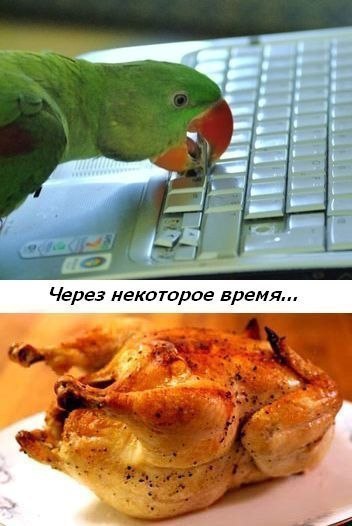    :D - 4  2016  14:34