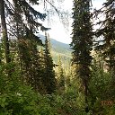 ���� �����, ���� - ��������� 11 ������� 2016 � ������ ������