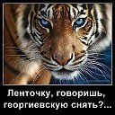 ���� �����, ������, 41 ��� - ��������� 24 ������ 2016 � ������ ������ ��������