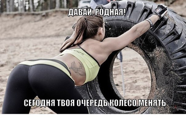SportFeed - 7  2016  17:05