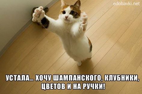 Liudmila - 12  2016  13:16