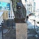 ���� ������, ��������, 46 ��� - ��������� 9 ���� 2016 � ������ ���� ����������