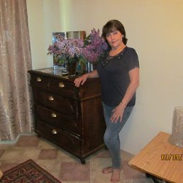 , 65, 
