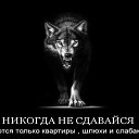 ���� ���������, ��������� - ��������� 1 ������ 2016 � ������ ������ ��������