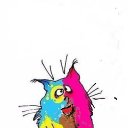 ���� �������, ������� �����, 51 ��� - ��������� 20 ��� 2016 � ������ ���� ����������