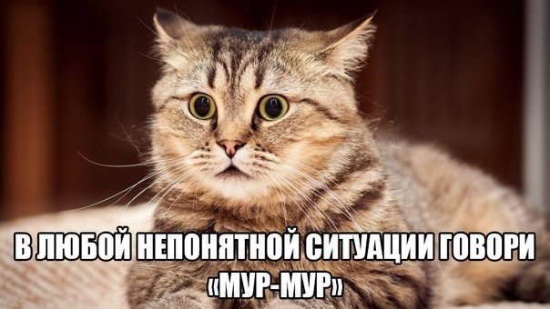 ***Victoria Viktorovna*** - 7  2016  16:08