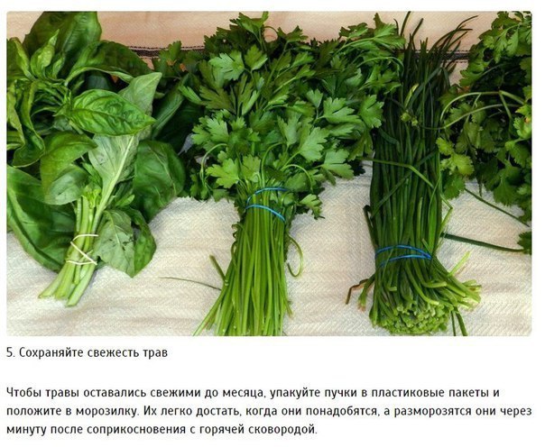  ,    . #@cooklove #@cooklove - 5