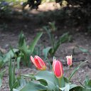  , , 60  -  5  2016     ,03.04.16.