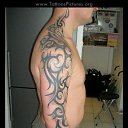  , , 53  -  25  2016   TRIBAL