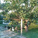 ���� ���������, �������������� - ��������� 8 �������� 2016 � ������ �����