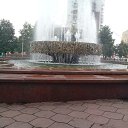 ���� ����, ������, 41 ��� - ��������� 1 �������� 2016 � ������ ���� ����������