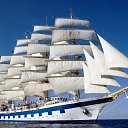 ���� ������, ��������, 63 ���� - ��������� 24 ������ 2016 � ������ ������ ��������