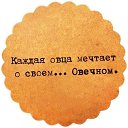 ���� �������, �������� - ��������� 12 ������ 2016 � ������ ������ ��������