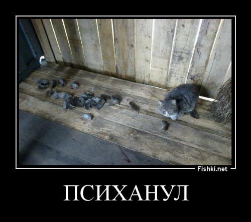 ***Victoria Viktorovna*** - 11  2016  06:45