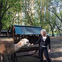 ���� &&���, ������, 41 ��� - ��������� 12 ������� 2016 � ������ ���� ����������