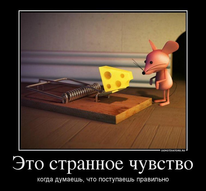   - 10  2016  11:45