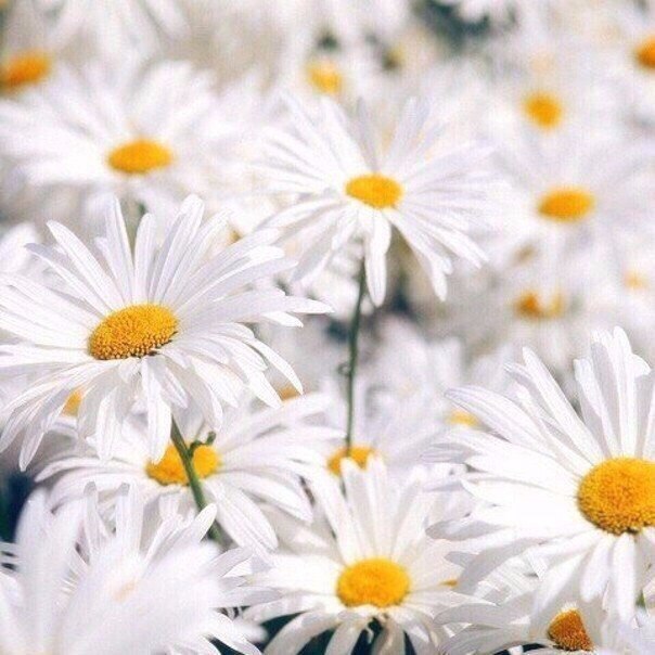 #nature@travel.blog - 4