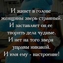���� ���, ��������� - ��������� 4 �������� 2016 � ������ ������ ��������