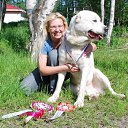  , -, 54  -  17  2016