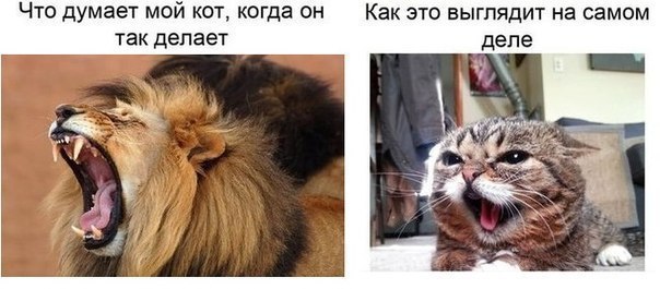    - 19  2016  23:16
