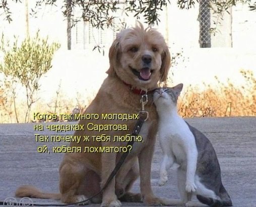 *.      