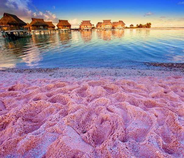      : PINK SANDS BEACH. ,    ! ... - 2