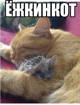 ��� ���� - 20 ������� 2016 � 05:37