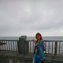 ���������� �� ������� ������������ ���� 2016 �