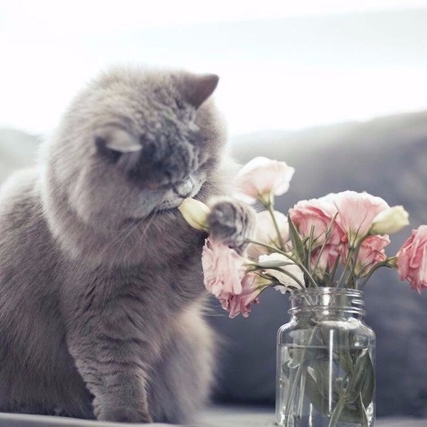       - 28  2016  04:30 - 5