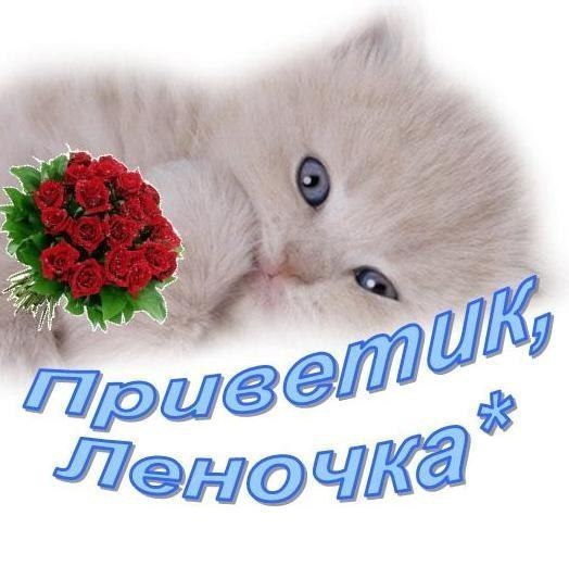   - 24  2016  13:14