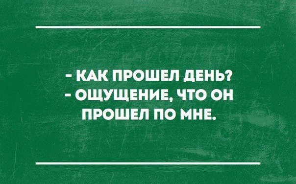 SportFeed - 29  2016  10:48