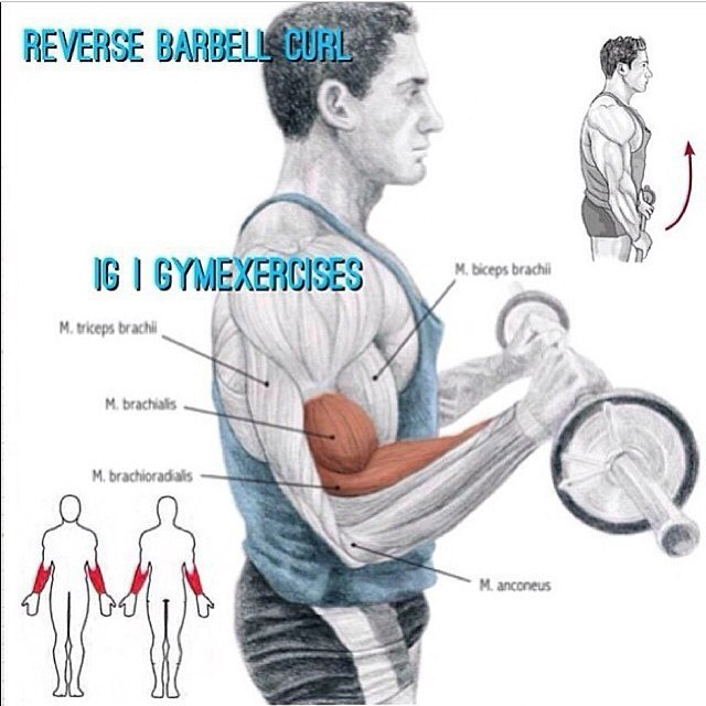  . #SPORT_@sports_is_life - 5