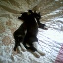 � ���� ��� - ������... �� ������� ������ �����