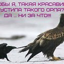 ���� ��������, ������� �������� - ��������� 11 ����� 2016 � ������ ���� ����������